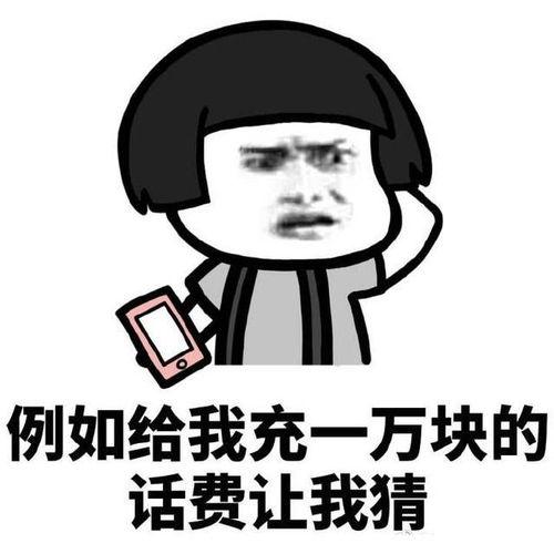 做技术不可耻表情包,揭秘做技术不可耻的正能量表情包